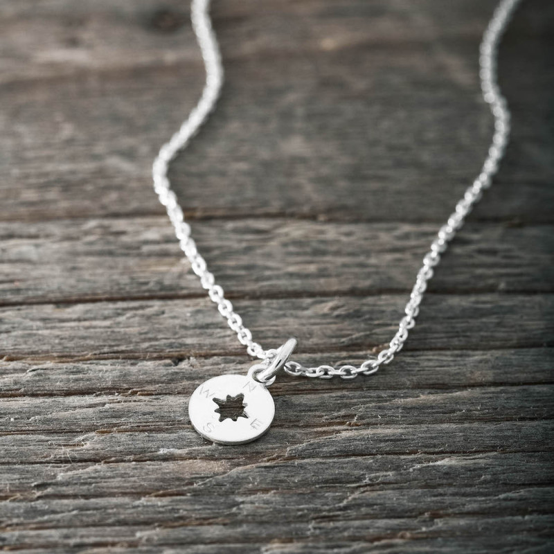 Silverhalsband liten kompass
