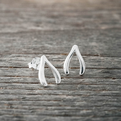 Silverörhänge wishbone