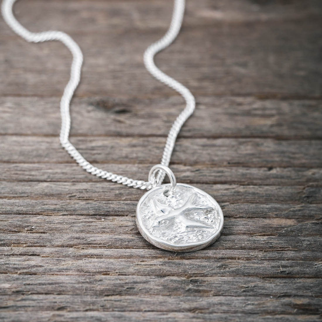 Silver necklace lucky coin swallow