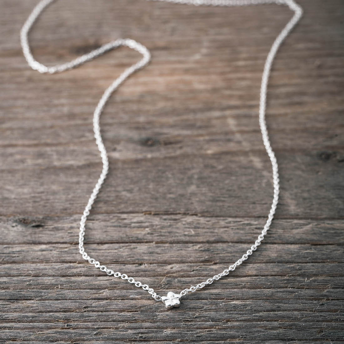 Silverhalsband miniblomma