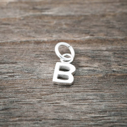 Silver charm B