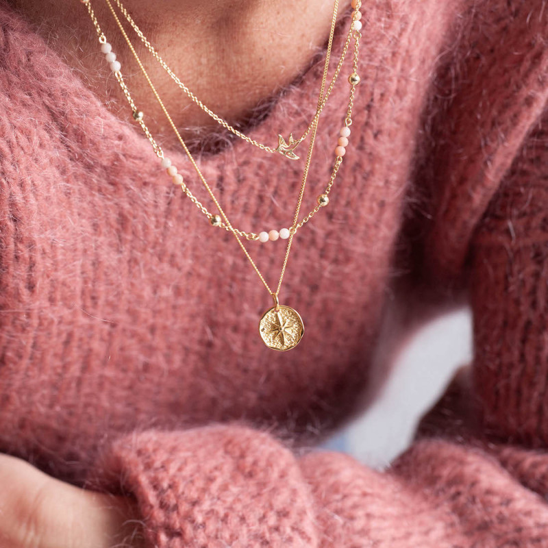 Gold necklace lucky coin swallow