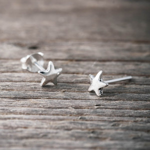 Silver earrings morning star