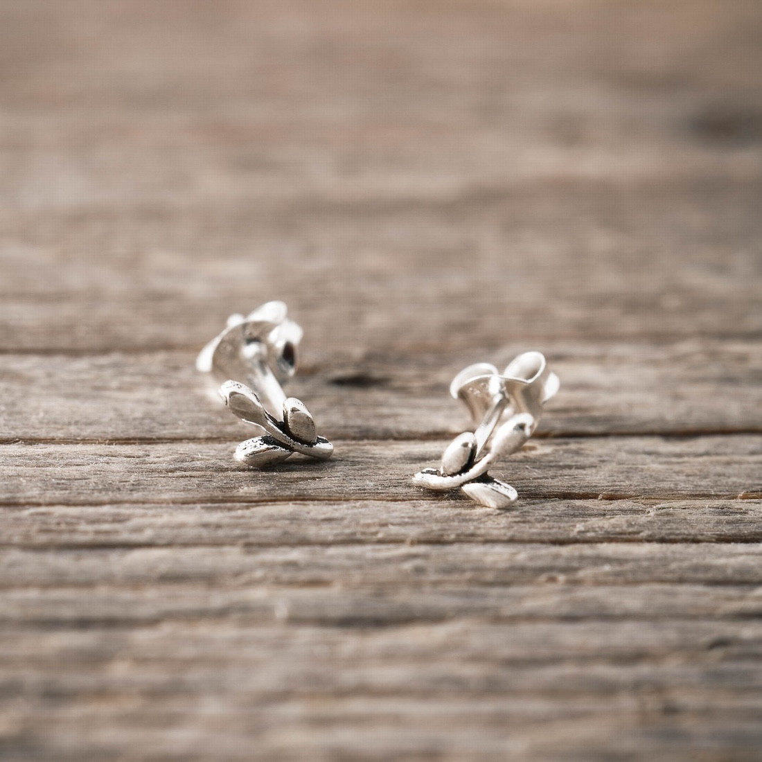 Silver earrings Tree of life - leaf