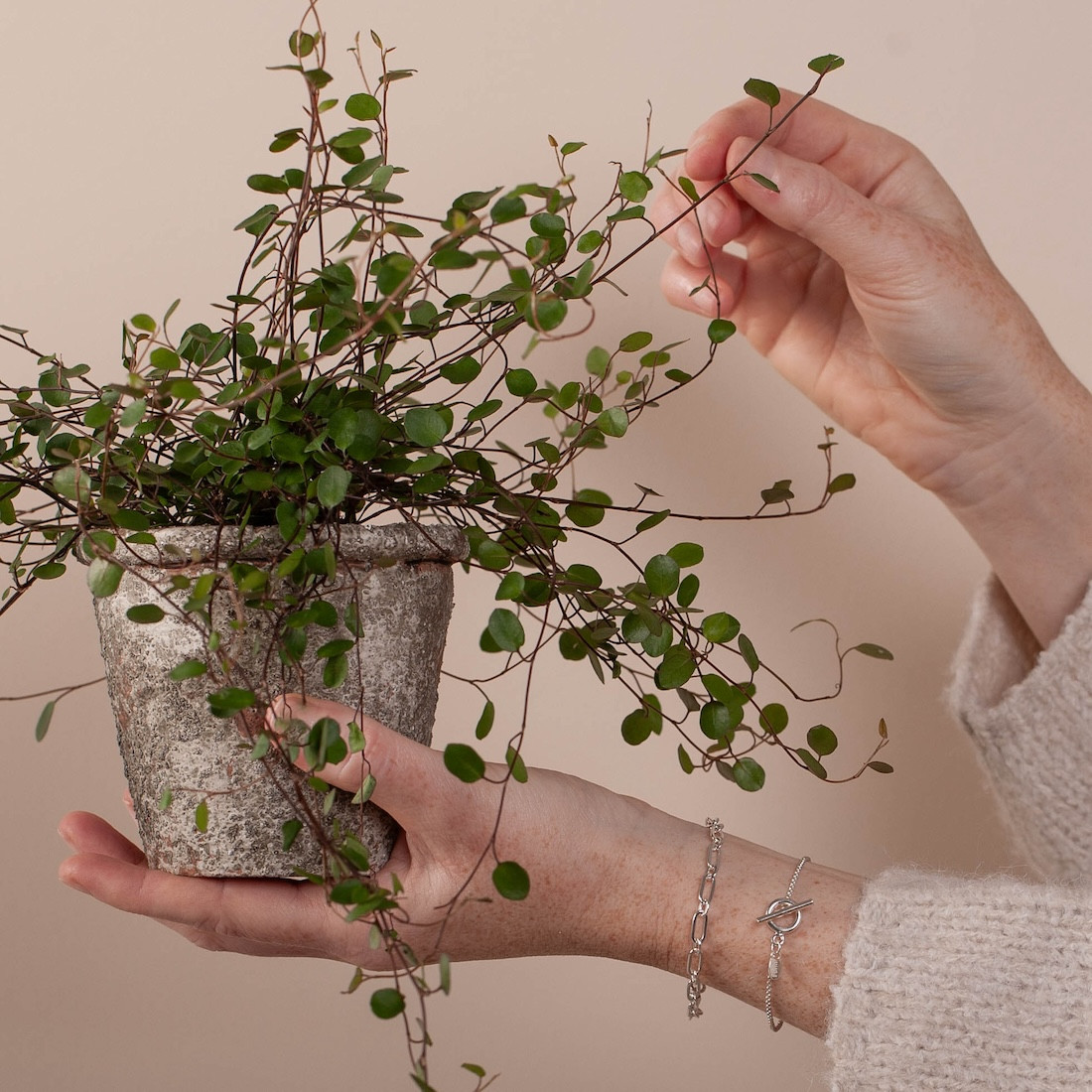 Silverarmband grov länk