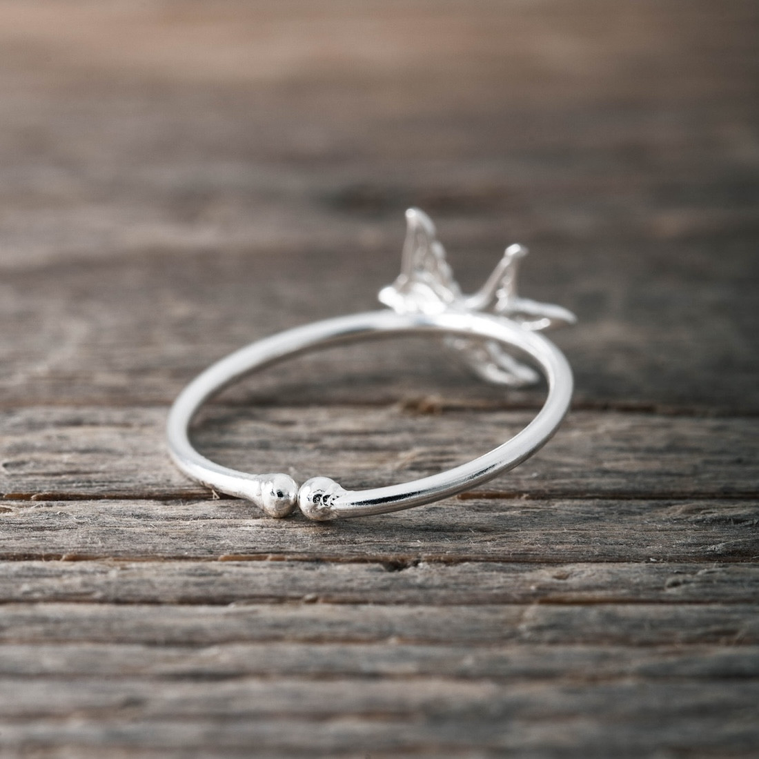 Silverring svala