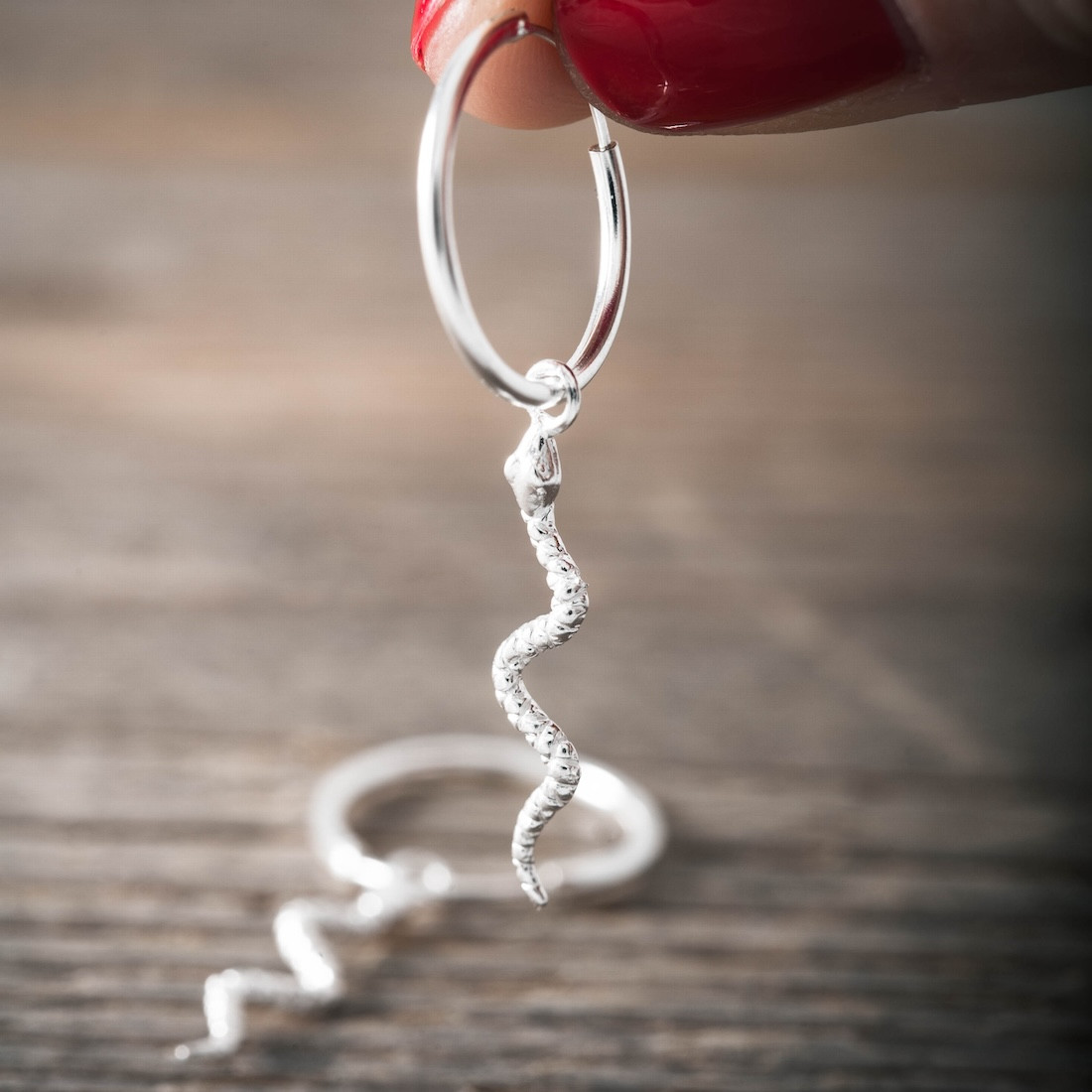 Silver hoops snake