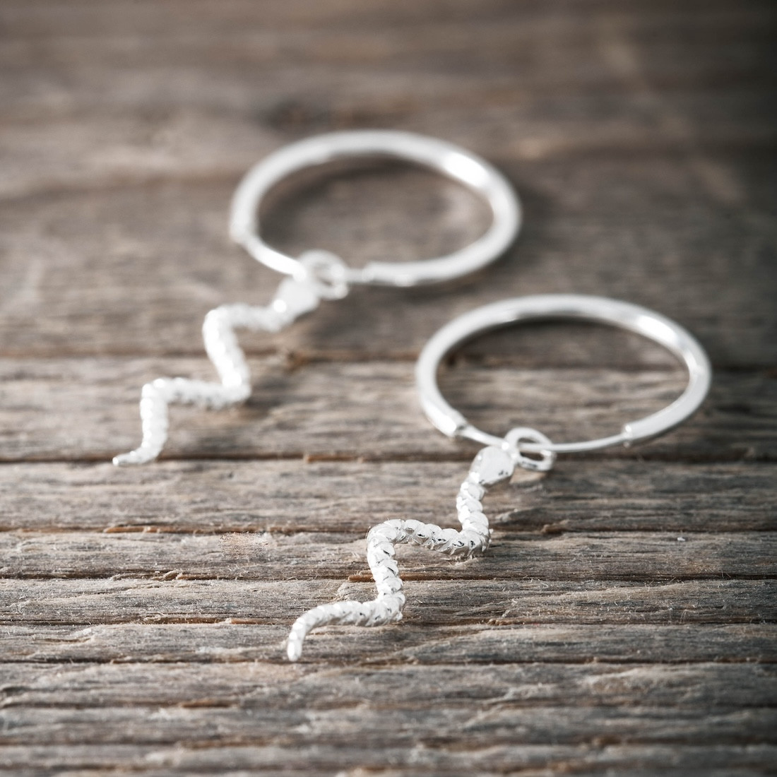 Silver hoops snake