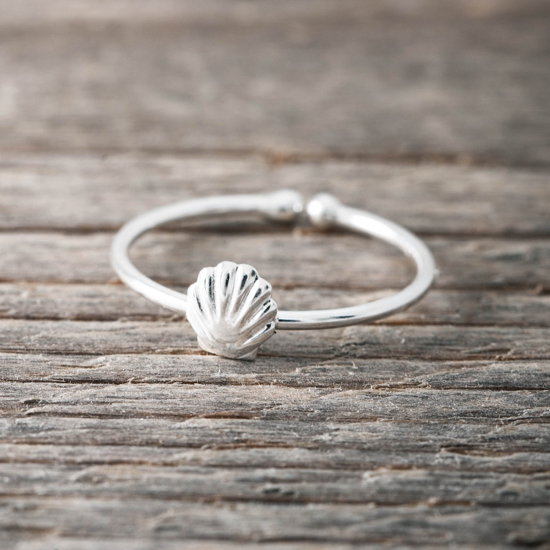 Silver ring sea shell