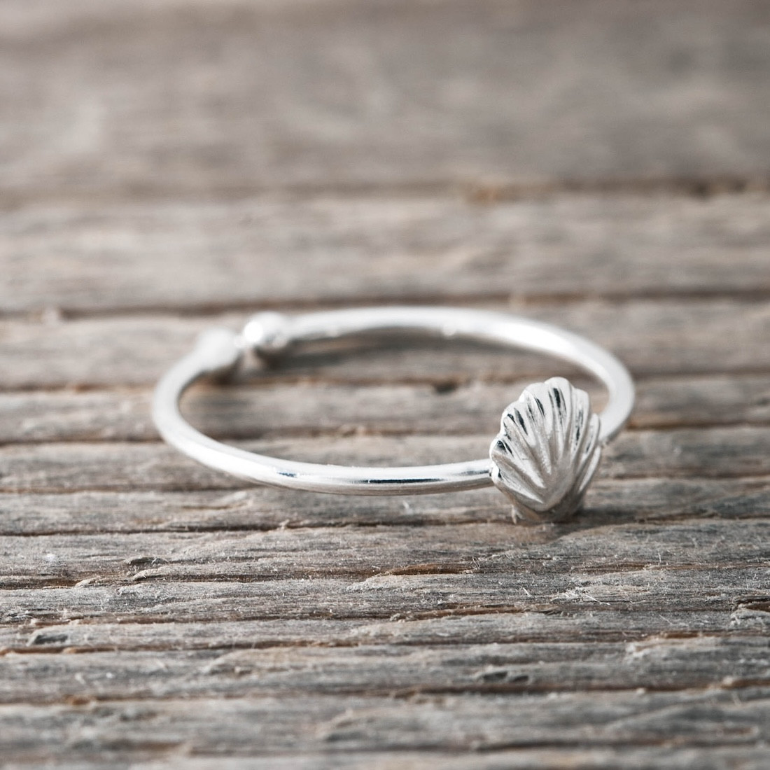 Silverring snäcka