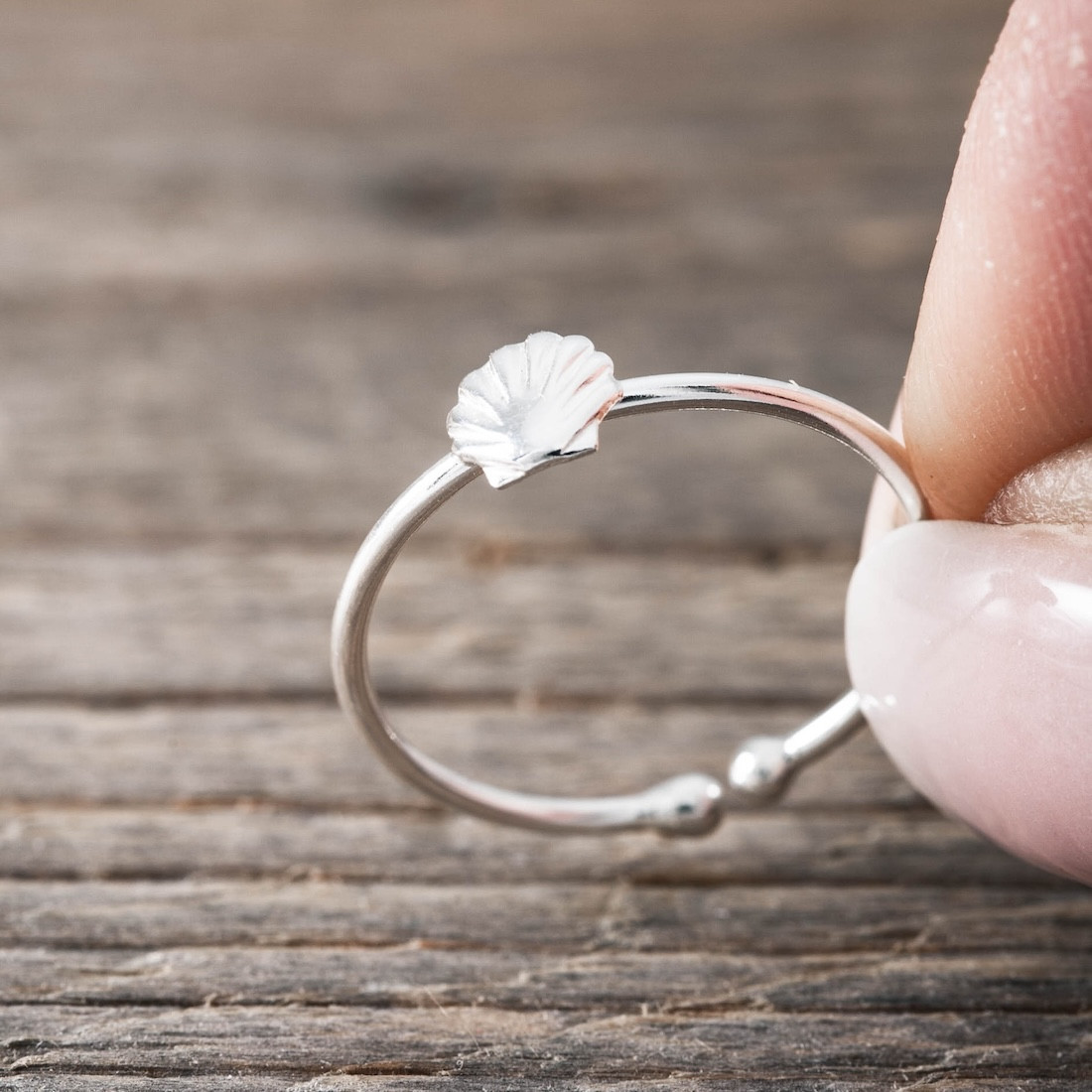 Silverring snäcka