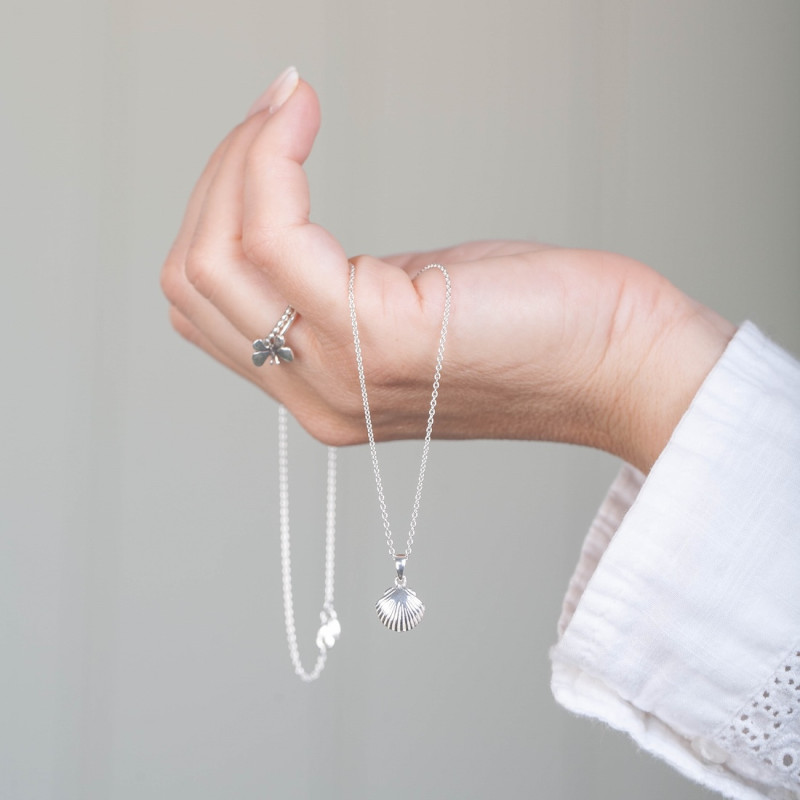 Silverhalsband snäcka