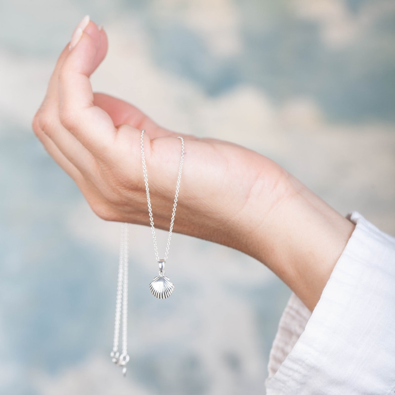 Silverhalsband snäcka