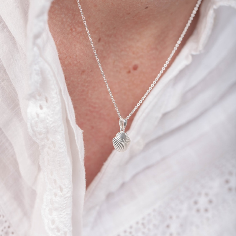 Silverhalsband snäcka