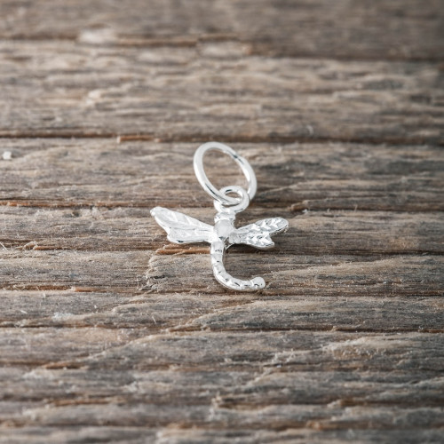 Silver charm dragonfly