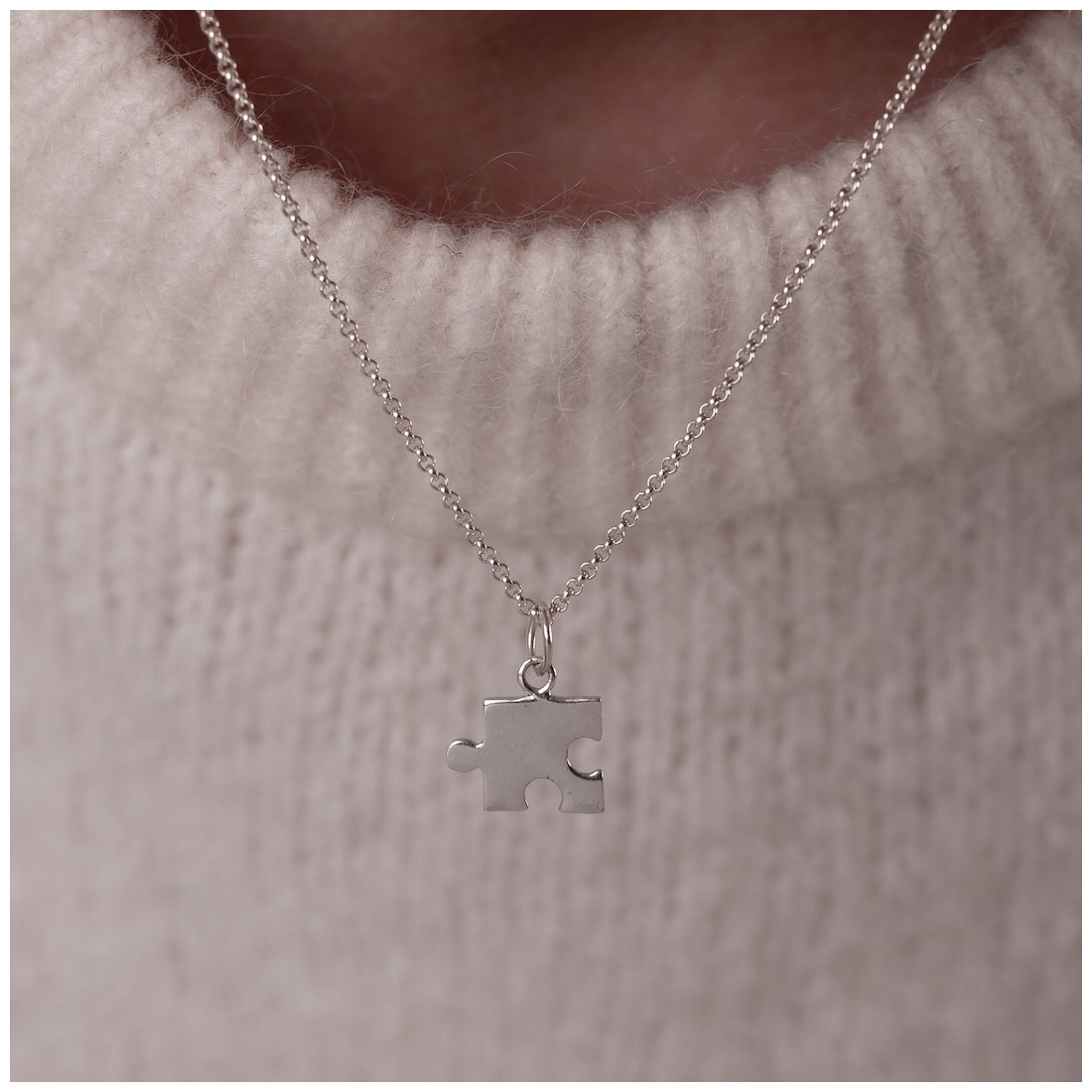 Silverhalsband pusselbit
