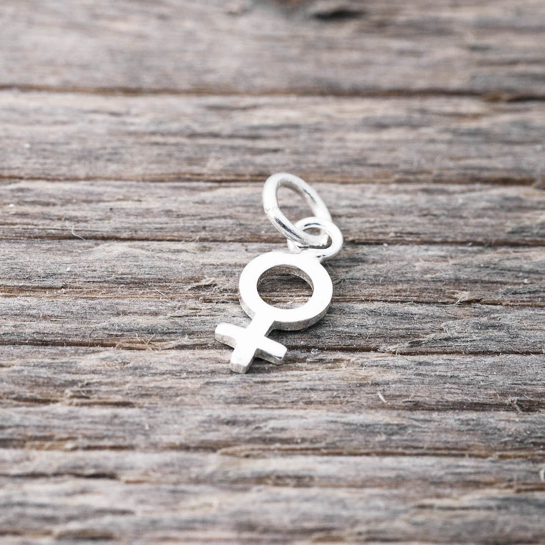Silver charm female sign