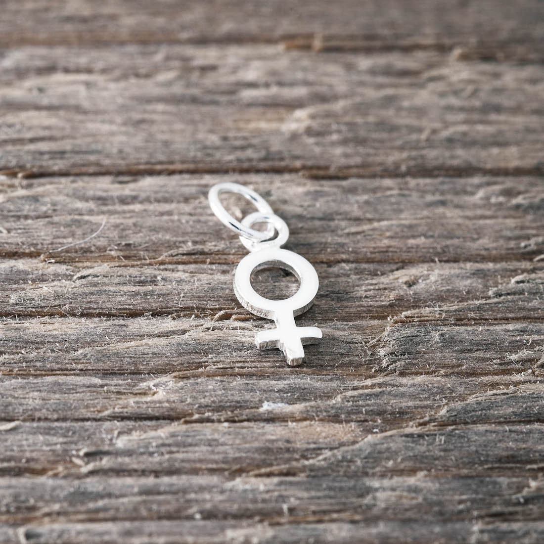 Silver charm female sign